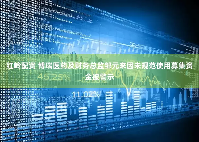 红岭配资 博瑞医药及财务总监邹元来因未规范使用募集资金被警示