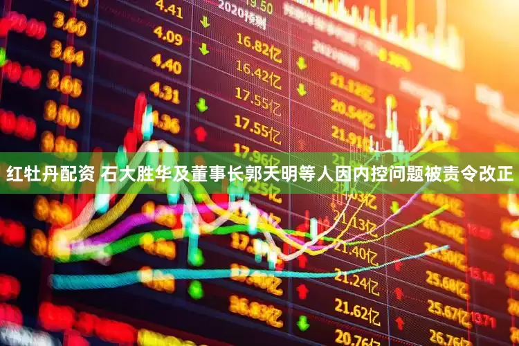 红牡丹配资 石大胜华及董事长郭天明等人因内控问题被责令改正