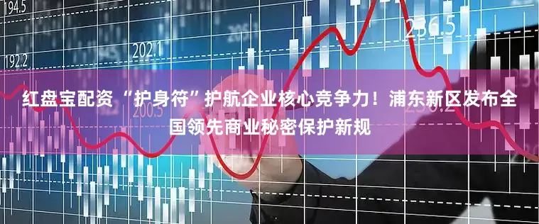 红盘宝配资 “护身符”护航企业核心竞争力！浦东新区发布全国领先商业秘密保护新规
