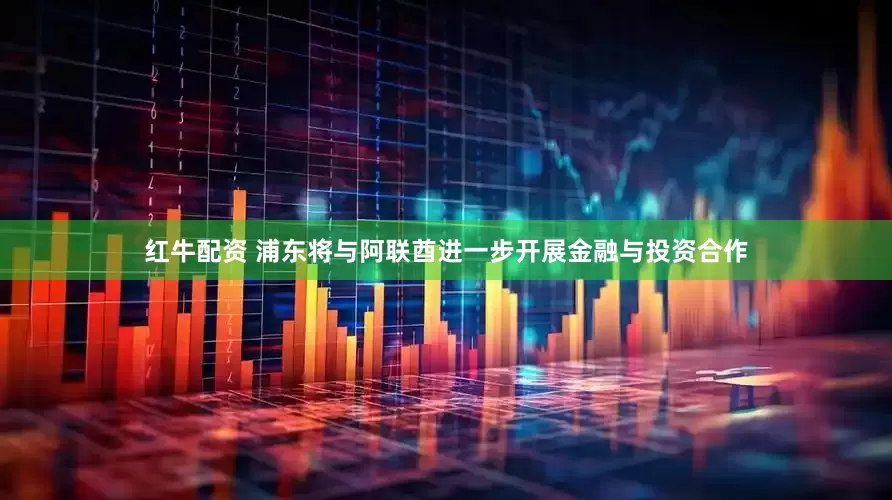 红牛配资 浦东将与阿联酋进一步开展金融与投资合作