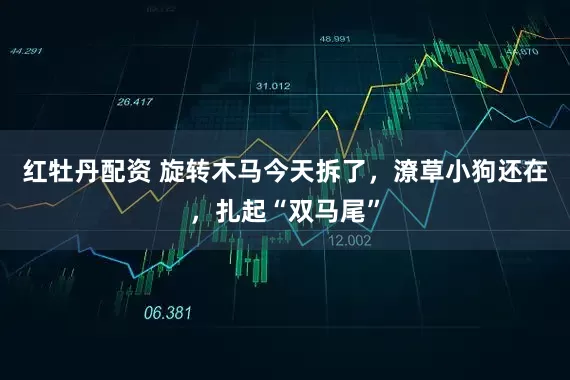 红牡丹配资 旋转木马今天拆了,潦草小狗还在,扎起“双马尾”
